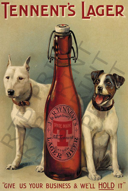 Tennent's Lager dogs A4 Metal Sign
