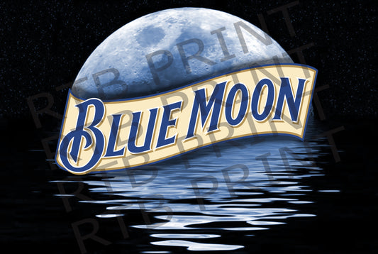 Blue Moon A4 metal sign 1